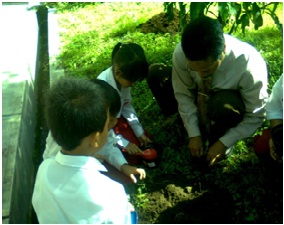 PEMBELAJARAN LINGKUNGAN HIDUP