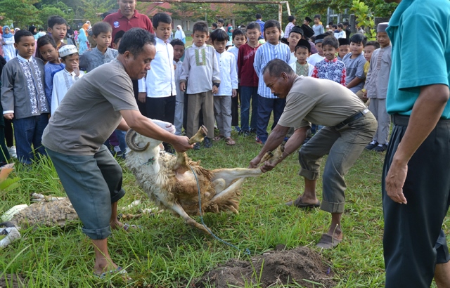 Kegiatan